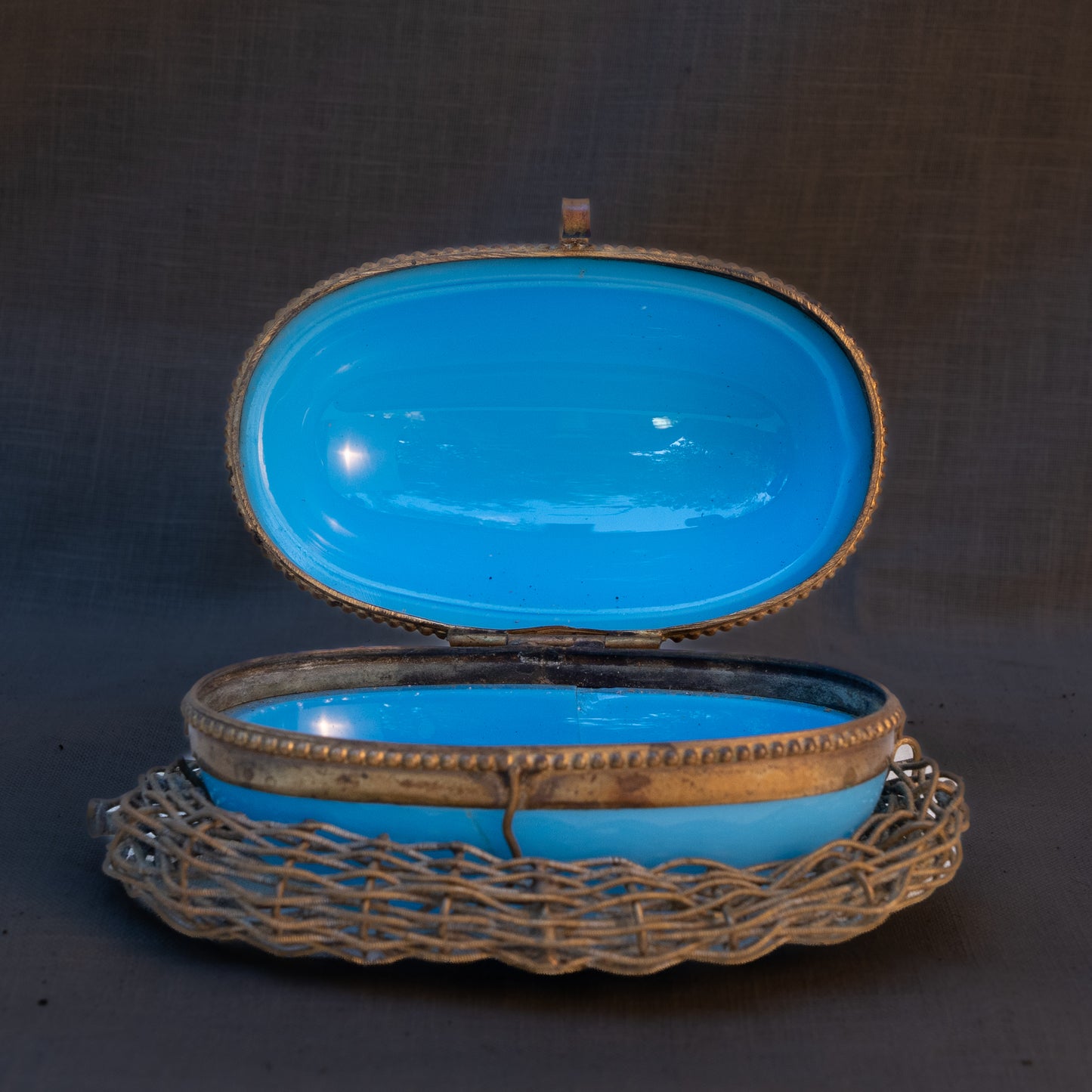 French Blue Opaline Egg in Nest