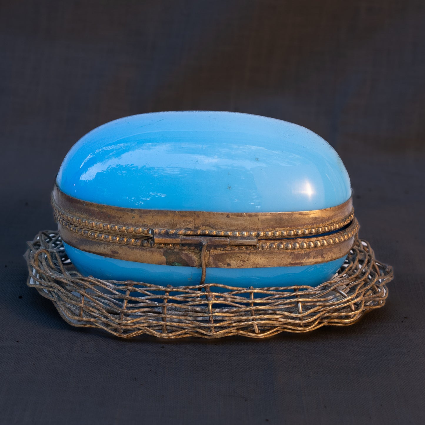 French Blue Opaline Egg in Nest