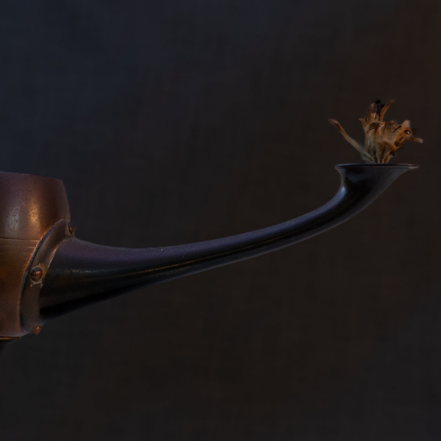 Art Nouveau Jan Eisenlöffel Designed For Wmf Cigar Oil Lamp