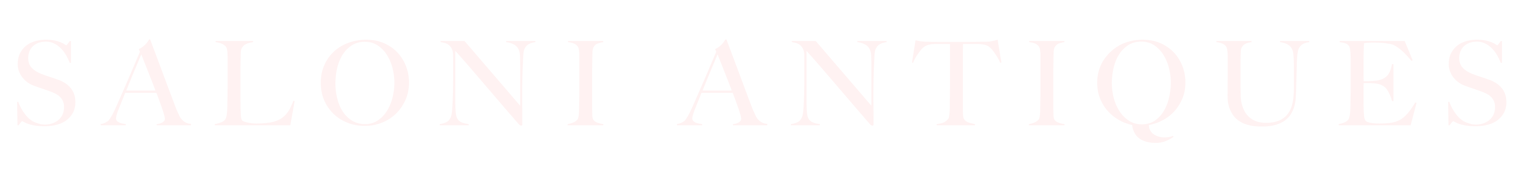 Saloni Antiques 
